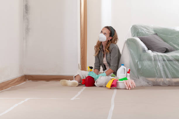 Reliable Mold Cleanup contractor in Westfield, PA by WQB Mold Removal